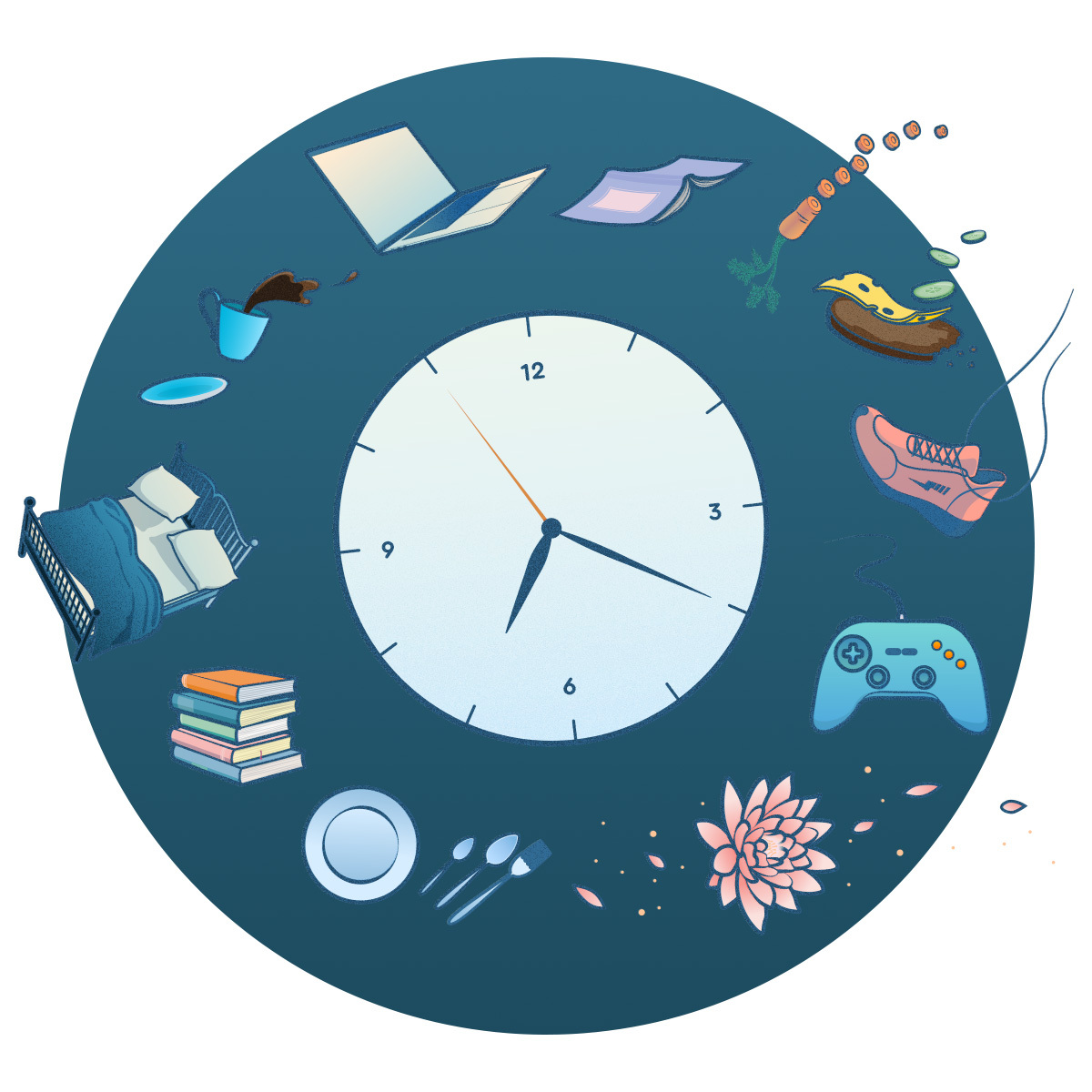 Visual representing the circadian rhythm